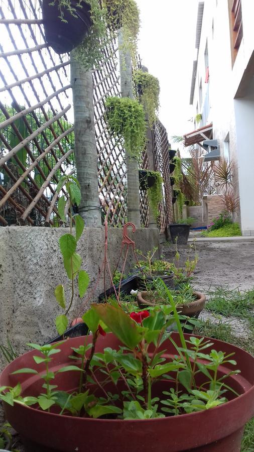 Tribo De Gaia Hostel Itaunas  Exterior photo